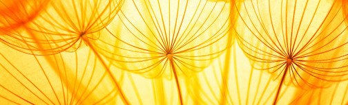 fotolia 59474042 subscription monthly m 989x fotolia 59474042 subscription monthly m 989x - fotolia_59474042_subscription_monthly_m-989x300.jpg
